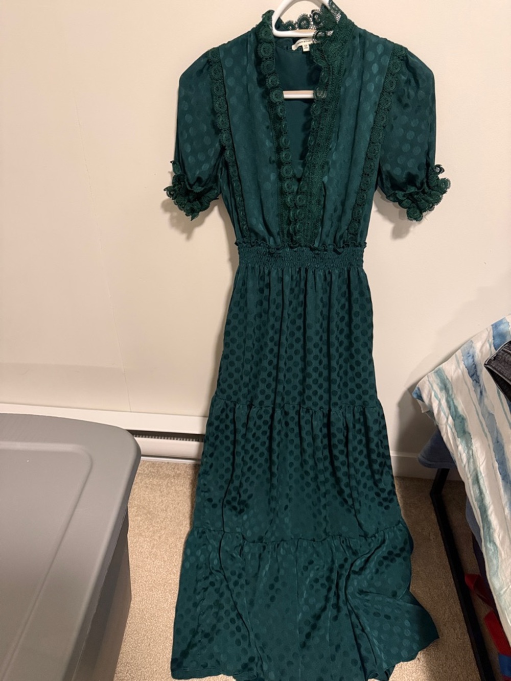 Max Studio Emerald Green Swiss Dot Maxi Dress